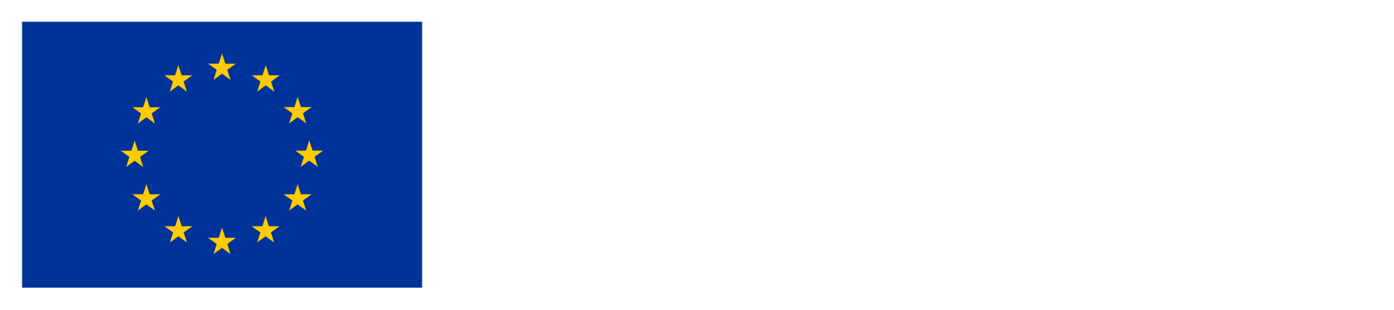 Co-funded by the EU
