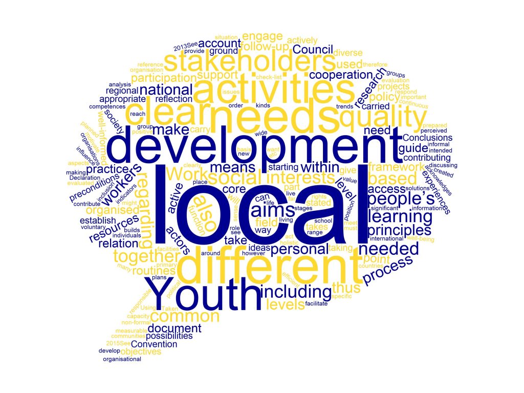 Towards a European Charter on Local Youth Work