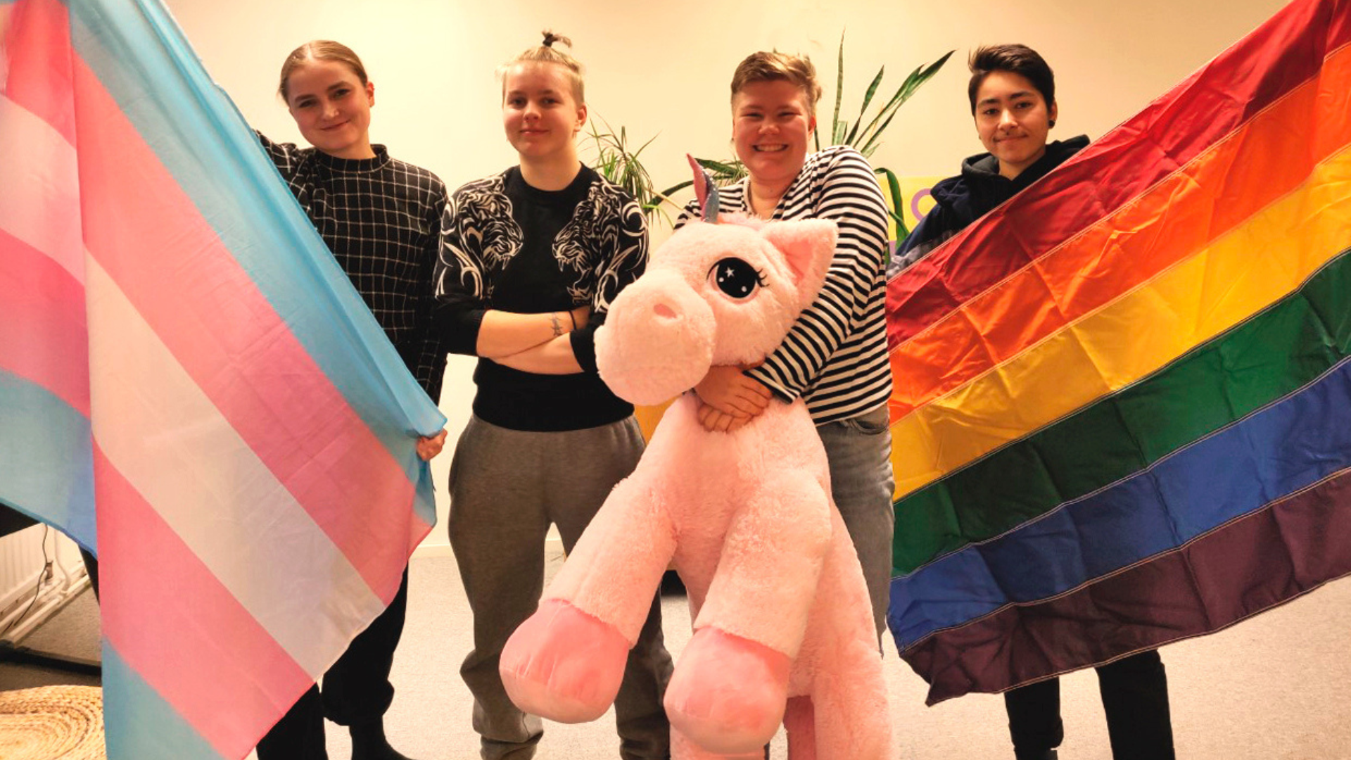 Seta: systematic support of LGBTIQ+ youth in Finland