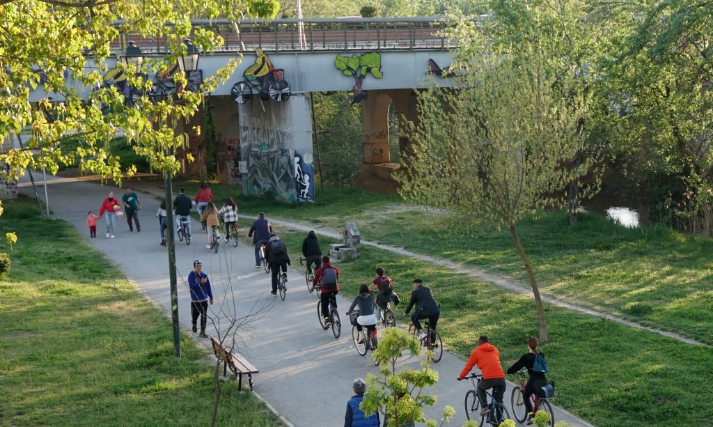 A group of people are biking on a bike lane in a green environment with grass and trees